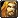 Male Human